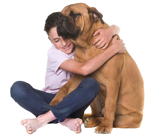 Bulldog_new 
