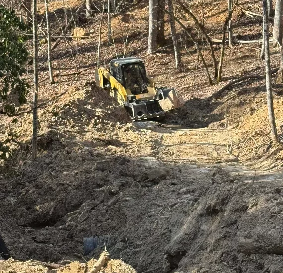 Lot_clearing