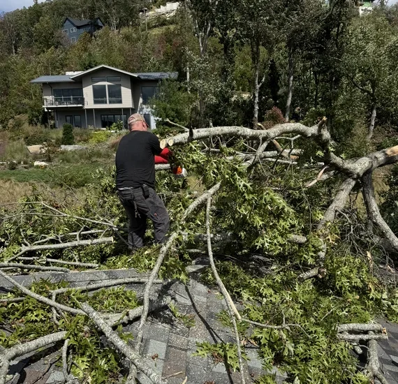 Stormdamage